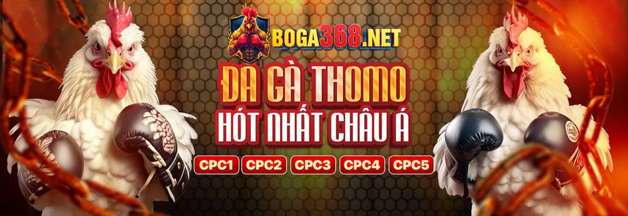 Đá Gà Trực Tuyến Hấp Dẫn tại vvv888