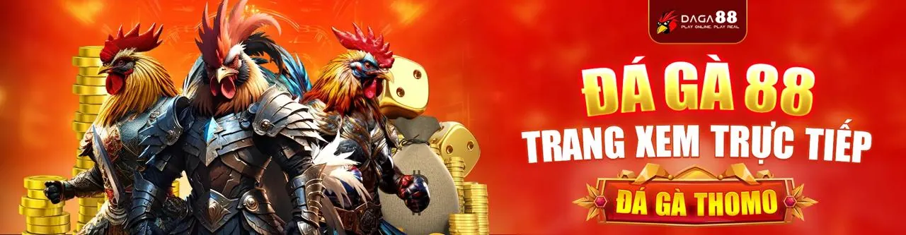 Đá gà trực tuyến vvv888